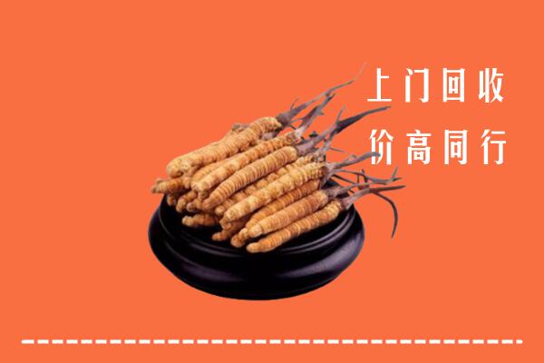 高价求购：行唐回收散虫草