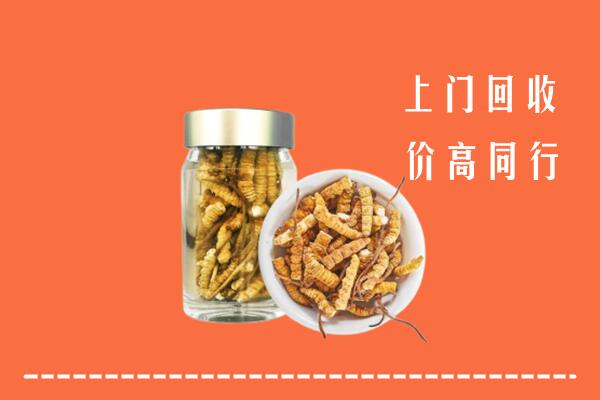 行唐回收冬虫夏草